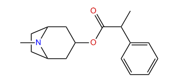 Dihydroapoatropine