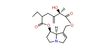 Dihydroseneciphylline