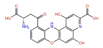 Dihydroxanthommatin
