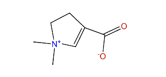 N,N-Dimethyl-2-pyrroIinio-3-carboxylate