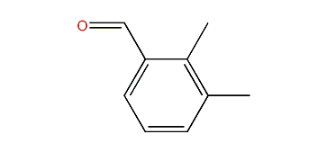Dimethylbenzaldehyde