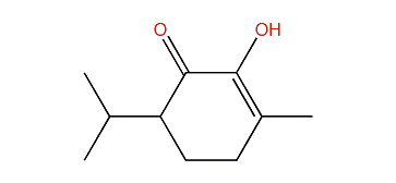 2-Hydroxy-6-isopropyl-3-methyl-2-cyclohexen-1-one