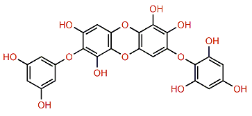 Diphlorethohydroxycarmalol