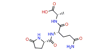N-[N2-(5-Oxoprolyl)glutaminyl]alanine
