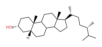 24alpha-Methyl-5beta-cholestan-3alpha-ol