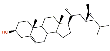 (23R,24S,28R)-23,24,28-Cyclostigmasta-5-en-3b-ol