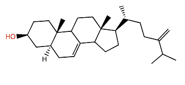 24-Methylene-5a-cholest-7-en-3b-ol