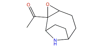 1-(3-Oxa-10-azatricyclo[5.2.1.02,4]decan-2-yl)-ethanone