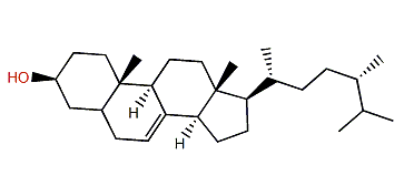 24-Methylcholest-7-en-3b-ol