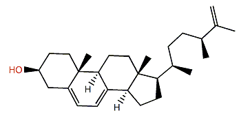 Ergosta-5(6),7(8),25(27)-trien-3b-ol