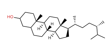 (24S)-24-Methyl-5a-cholestane-3b-ol