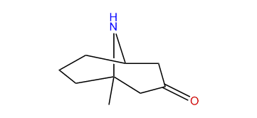 9-Aza-1-methyl-bicyclo[3.3.1]nonan-3-one