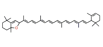 5,8-Epoxy-5,8-dihydro-beta,epsilon-carotene