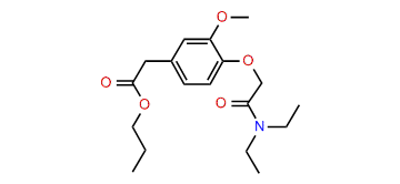 N-Formylammodendrine