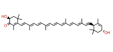 (3S,3'R,6'R)-3,3'-Dihydroxy-beta,epsilon-caroten-4-one