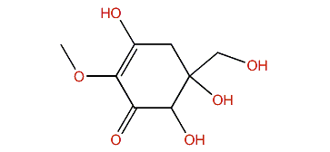 3,5,6-Trihydroxy-5-(hydroxymethyl)-2-methoxy-2-cyclohexen-1-one