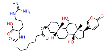 3-(N-Suberoyl argininyl)-gamabufotalin