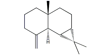 1,1,3alpha-Trimethyl-7-methylenedecahydro-1H-cyclopropa[a]naphthalene