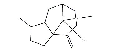 2,3,4,5,6,7,8,8a-Octahydro-1,9,9-trimethyl-4-methylene-1H-3a,7-methanoazulene