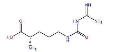 (2S)-5-(3-Amidinoureido)-2-aminovaleric acid