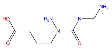 4-(Diaminomethylidenecarbamoylamino)-butanoic acid