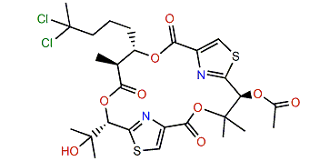 Hectochlorin