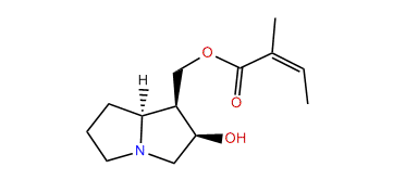 9-O-angelylpetasinecine