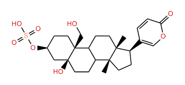 Hellebrigenol-3-O-sulfite