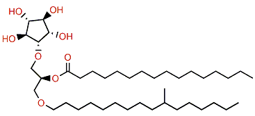 Hexadecanoylcrasseride