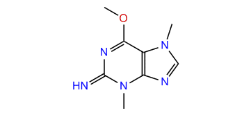 6-Methoxy-3,7-dimethyl-3,7-dihydro-2H-purin-2-imine