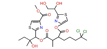 Homohydroxydolabellin
