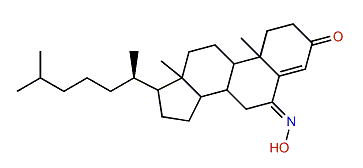 (E)-Hydroximinocholest-4-en-3-one