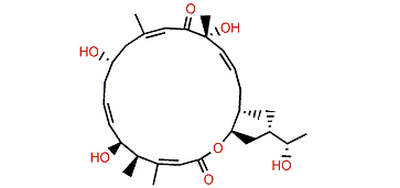 Iriomoteolide-1b