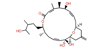 Iriomoteolide-1c