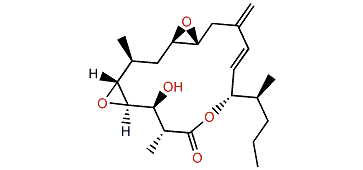 Iriomoteolide-9a