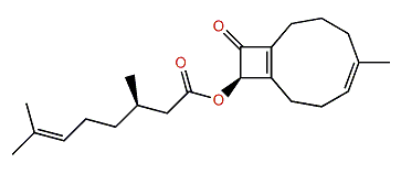 Isoacetylcoriacenone