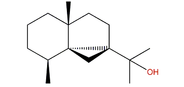 Isocycloeudesmol