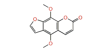 4,9-Dimethoxy-7H-furo[3,2-g]chromen-7-one