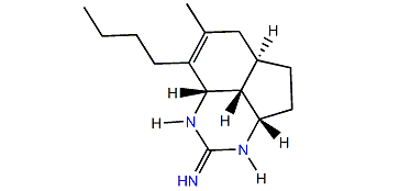 Isoptilocaulin
