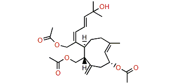 Isoxeniatriacetate