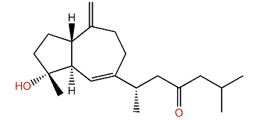 Isoxeniolone