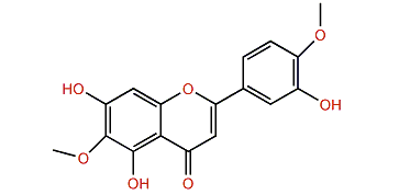 4',5,7-Trihydroxy-3',6-dimethoxyflavone