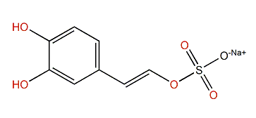 (E)-3,4-Dihydroxystyryl sulfate