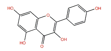 3,5,7-Trihydroxy-2-(4-hydroxyphenyl)-4H-chromen-4-one
