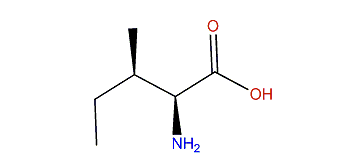 (2S,3R)-2-Amino-3-methylpentanoic acid