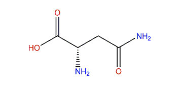 (S)-2,4-Diamino-4-oxobutanoic acid