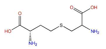 (R)-(2-Amino-2-carboxyethyl)-L-homocysteine