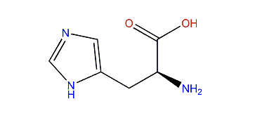 (S)-2-Amino-3-(1H-imidazol-5-yl)-propanoic acid
