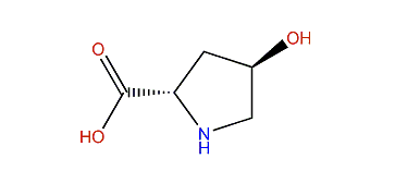 (2S,4R)-4-Hydroxypyrrolidine-2-carboxylic acid