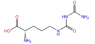 (2S)-2-Amino-5-(carbamoylcarbamoylamino)-pentanoic acid